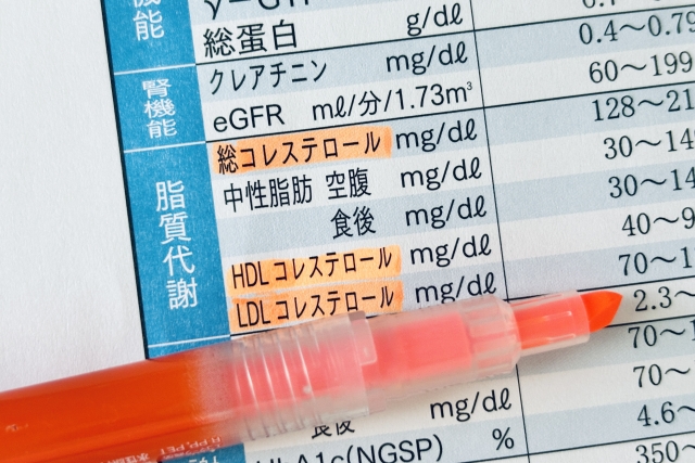 脂質異常症とは？